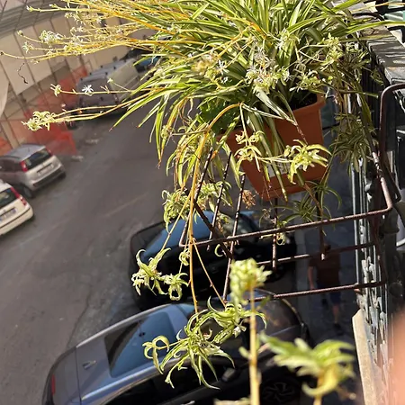 Stella Marina Apartment La Spezia